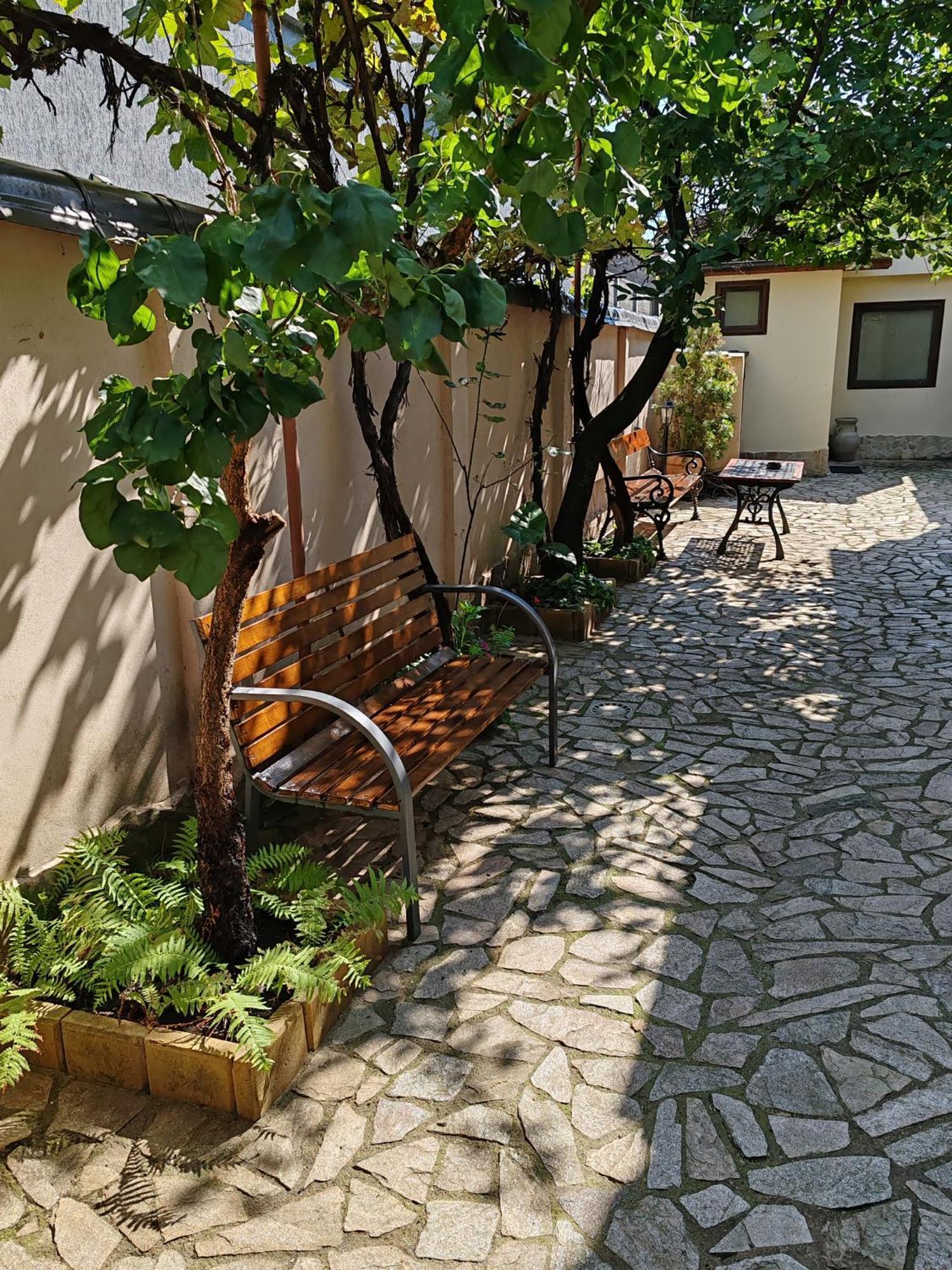 Arthouse Lucrezia Hotel ทิมิชัวรา ภายนอก รูปภาพ